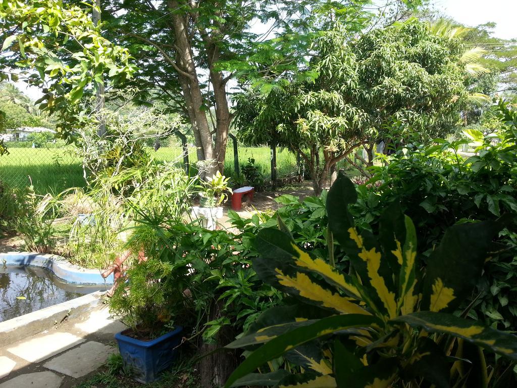 Hansika Guest Inn Buttala Exterior foto