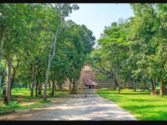 Hansika Guest Inn Buttala Exterior foto